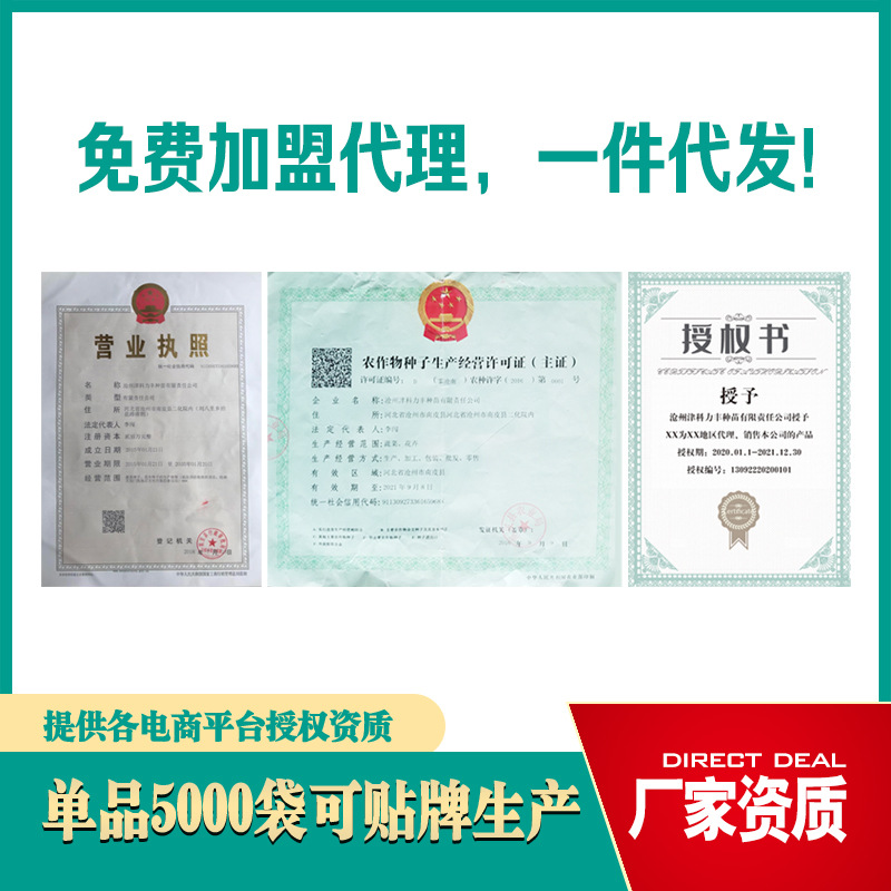 Source Manufacturer Wholesale Vegetable Seeds for Spring, Summer and Autum, Melons and Fruits, Seeds, Rapeseed and Vegetable Seeds