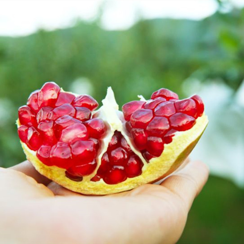 Sf Express Sichuan Hui Pomegranate Tunisian Soft Seed Pomegranate Freshly Picked Origin Dropshipping Pure Sweet Juicy