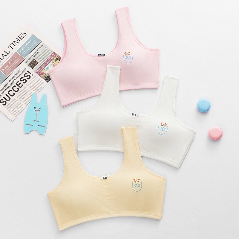 Прямые продажи хлопкового бюстгальтера для девочек 10-18 лет