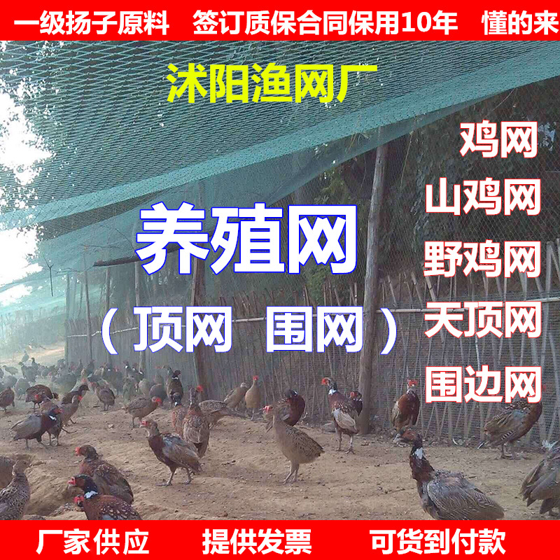 Climbing Net, Fishing Net, Breeding Net, Anti-Bird Net, Roof Net, Fish Net, Chicken Net, Edge Net, Guardrail Net, Nylon Net