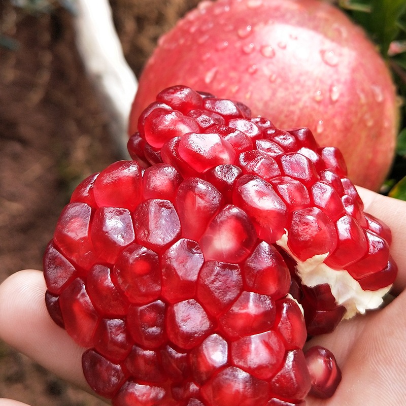 "Tunisian Soft Seed Pomegranates" Fresh Seasonal Pomegranates, Freshly Picked Large Red Sweet Pomegranates, 2.5kg Colorful Boxes