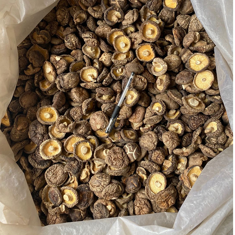 New Xixia Mushroom Dried 500g Hotel Catering Bulk Wholesale Rootless Mushroom Braised Chicken Fragrant Mushroom Dried