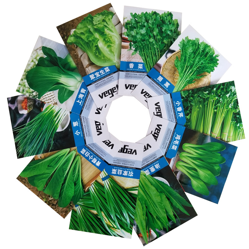 Source Manufacturer Wholesale Vegetable Seeds for Spring, Summer and Autum, Melons and Fruits, Seeds, Rapeseed and Vegetable Seeds