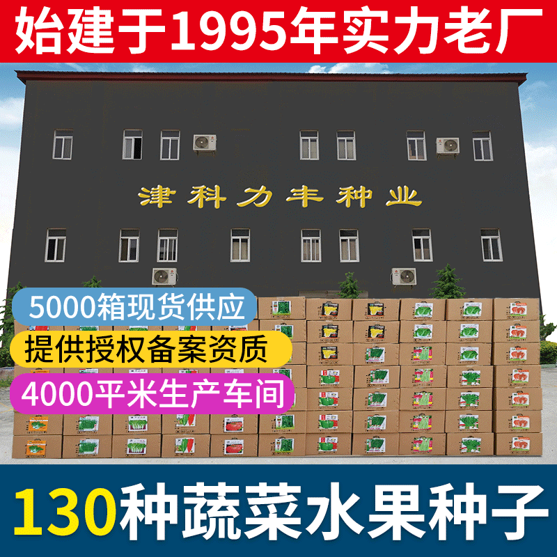 Прямые продажи семян овощей четырех сезонов от фабрики, оптовая продажа семян овощей и фруктов, семена рапса в горшках