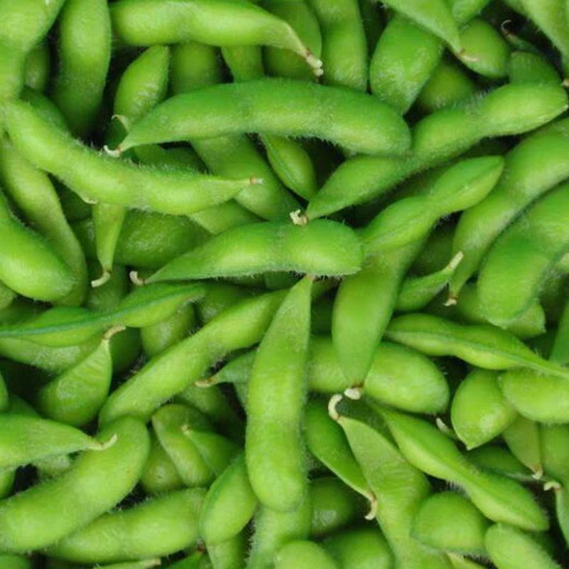 2.5кг, бесплатная доставка, свежие и нежные эдамаме, сезонные овощи