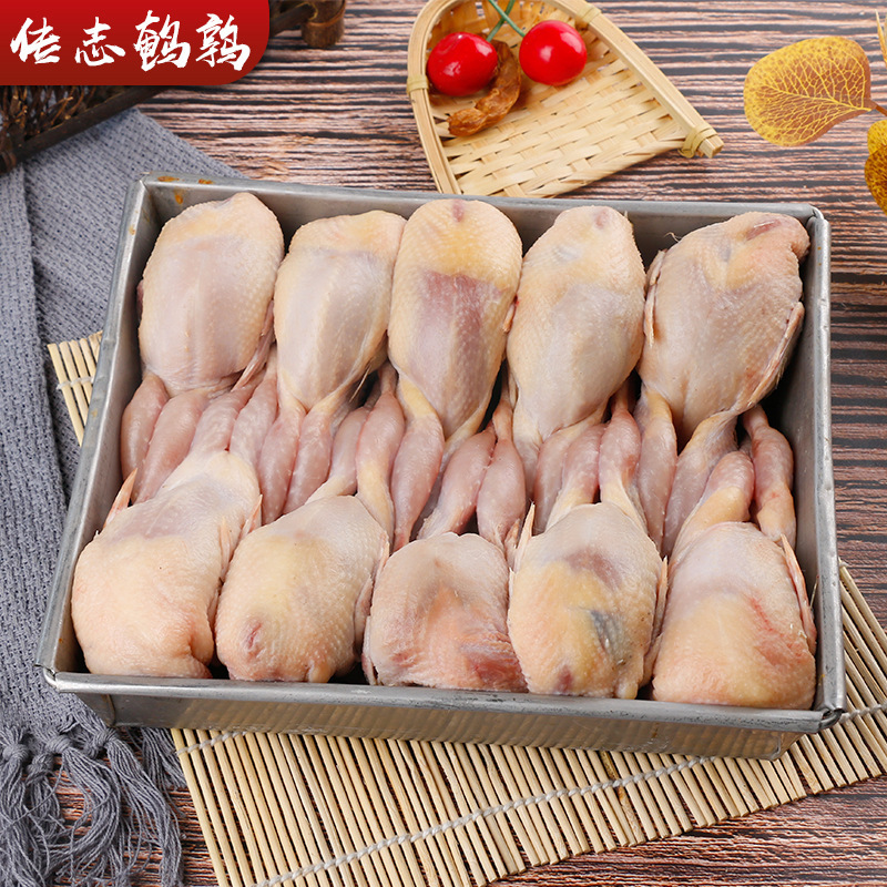Quail Meat Fresh Big Mother Frozen Fresh Frozen Meat Bloodletting Now Kill Live White Slave Barbecue Fried Stew Raw Bone and Meat