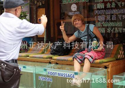 Guangzhou Kiss Fry Wholesale Fish Therapy Massage Kiss Fish Foot Massage Hot Spring Kiss Fish Integrity Management Manufacturer