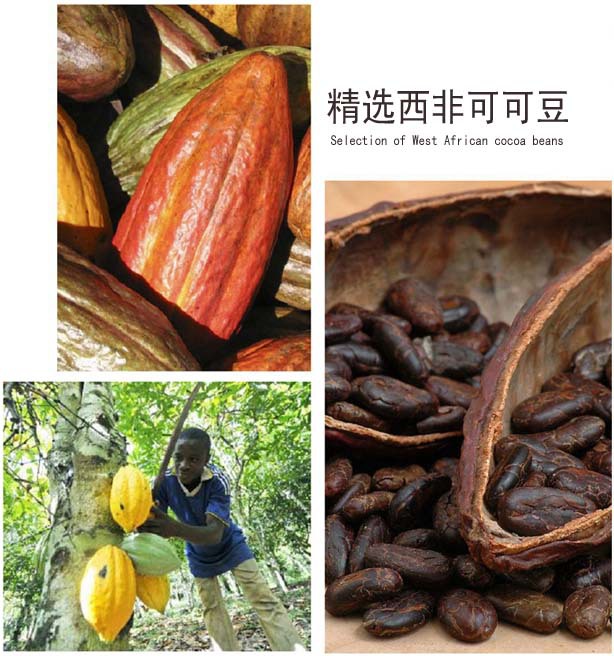 High-quality Raw Cocoa Beans, Ghana Cocoa Beans, Baked Chocolate Raw Materials, 396g/can, Free Shipping