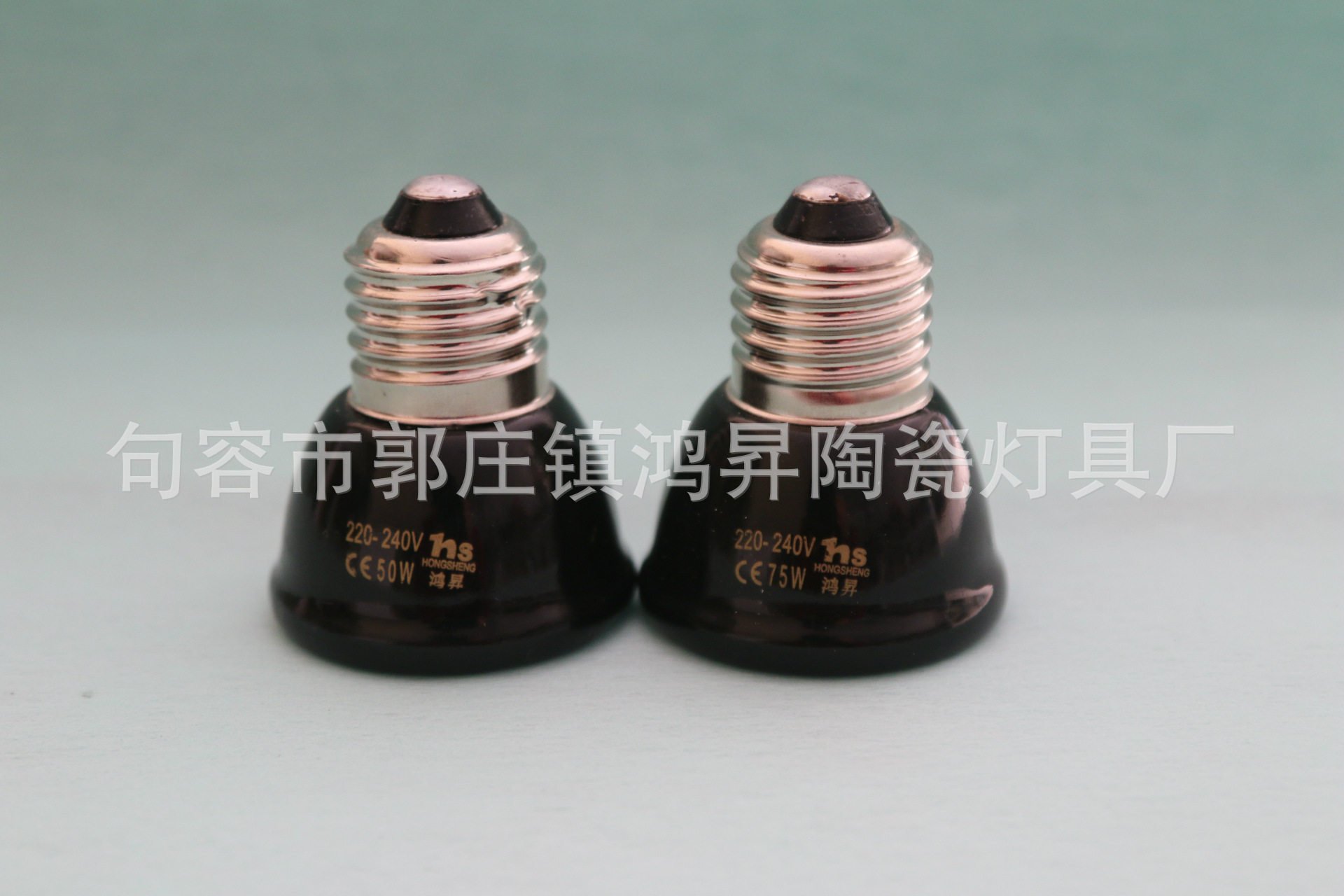 Reptile Pet Tortoise Far Infrared Ceramic Heating Lamp Small Mini 20W40W60W80W