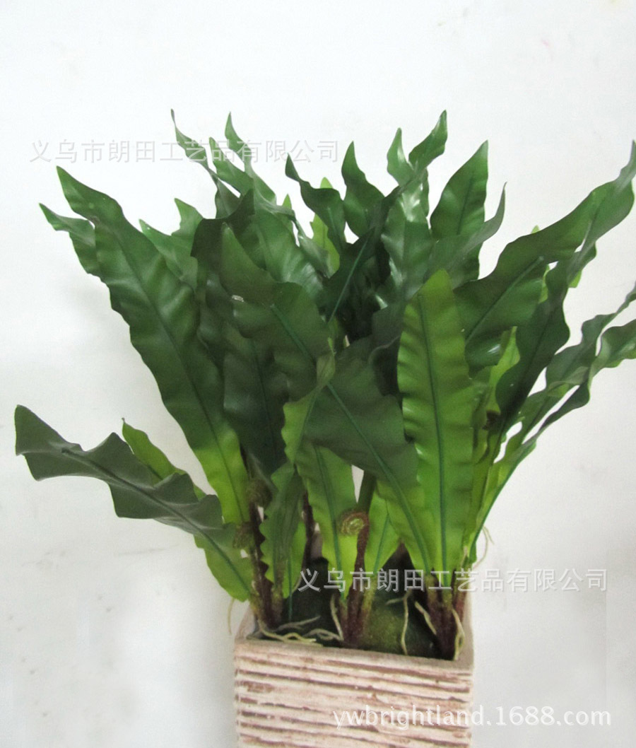 Simulated Bird's Nest Fern Leaves, Germanium Leaves, Simulated Plant Wall Potted Flower Arrangements, Materials, Floral Grass Factory Direct Sales