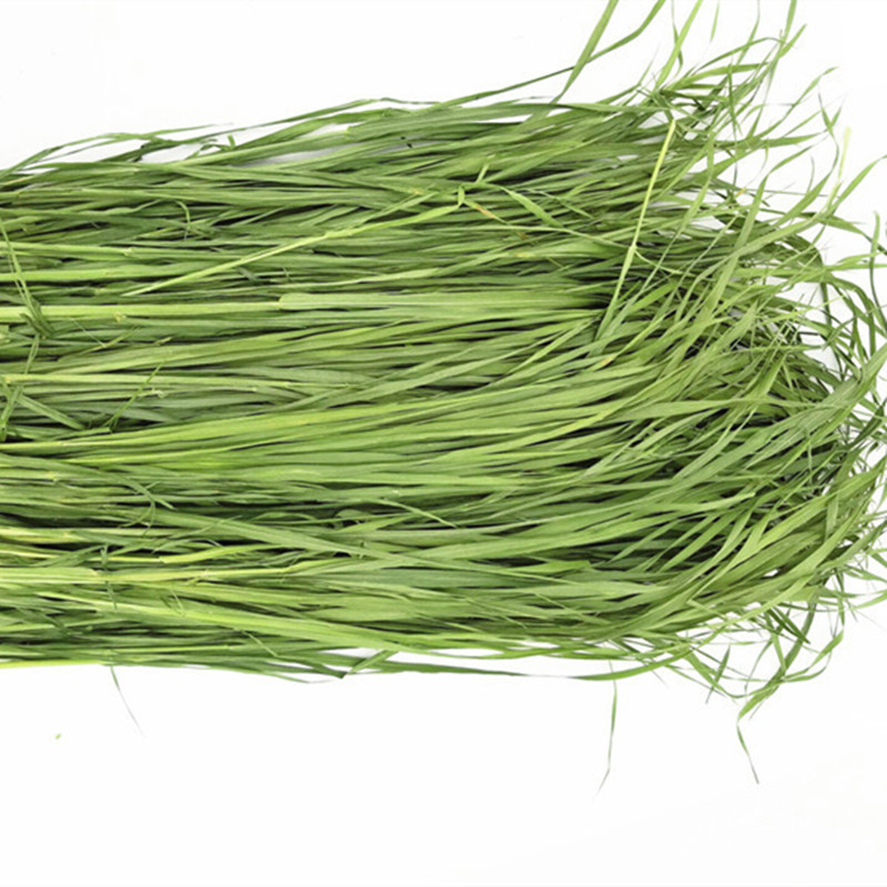 Jesse Dried Rabbit Wheat Grass Guinea Pig Hay Pasture Rabbit Chinchilla Guinea Pig Hay Net Weight 500g