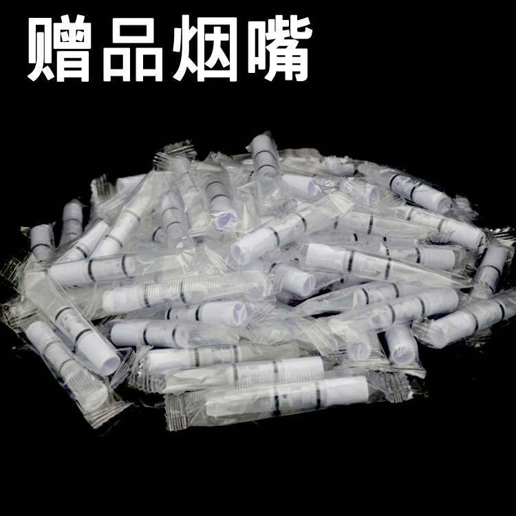 Wholesale Coarse, Medium and Fine Simple Packaging Multi-Filter Cigarette Holder Washable Circulation Promotional Gift Cigarette Holder Filter