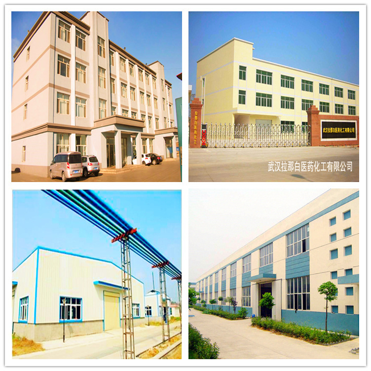 Epoxy Floor Paint Topcoat 206 Bright Green Topcoat Ab Combination 500g a Agent Plus 125g B Agent