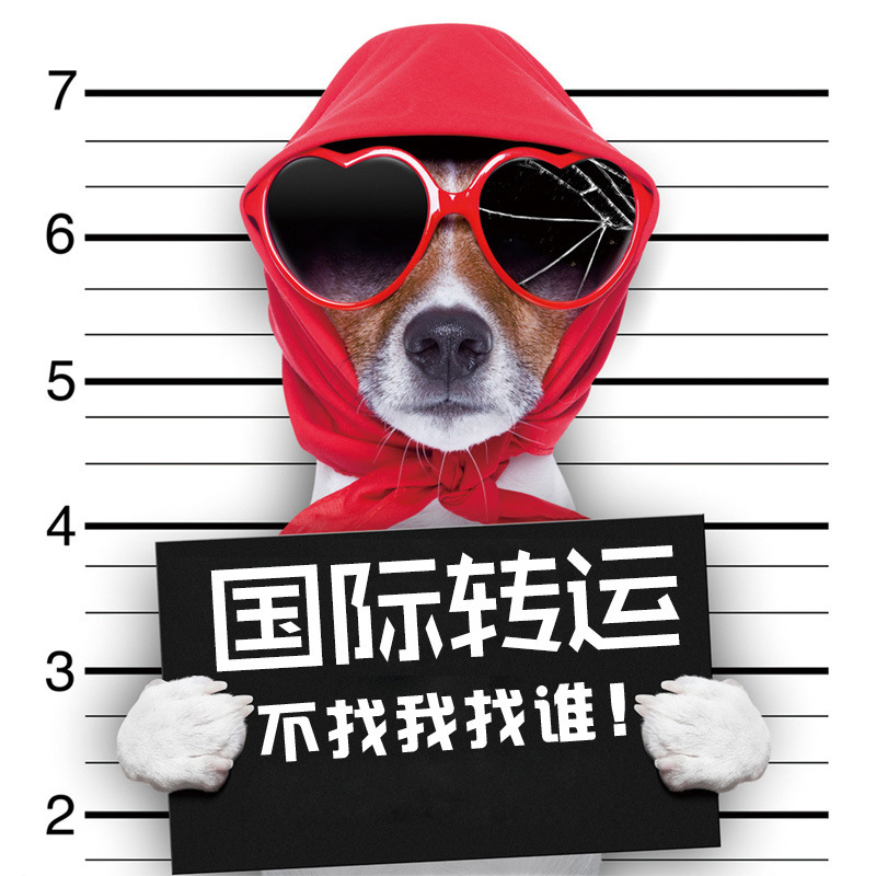 International Air Freight from Yiwu to Dubai, Uae International Express Delivery to Dubai Is Safe