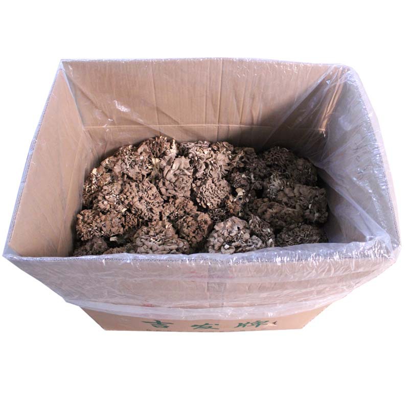 Jifa Edible Mushroom mushroom dry goods maxi meat crispy flavor origin direct supply wholesale 500g