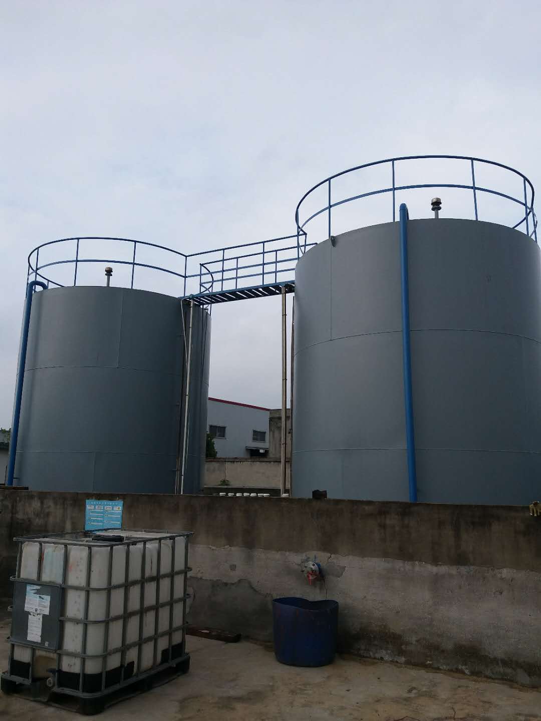 Business Promotion Dmf