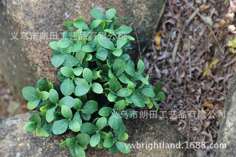 Simulation 9-fork Azalea leaf simulation plant wall accessories high-grade green plant wall hanging simulation vine leaf green plant