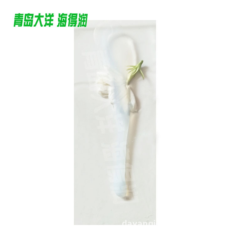 Nano-High Silicone Emulsion Silicone Acrylic Acid Resin Water-Based Emulsion Film-Forming Hardness Strong Penetration Good Cover Emulsion