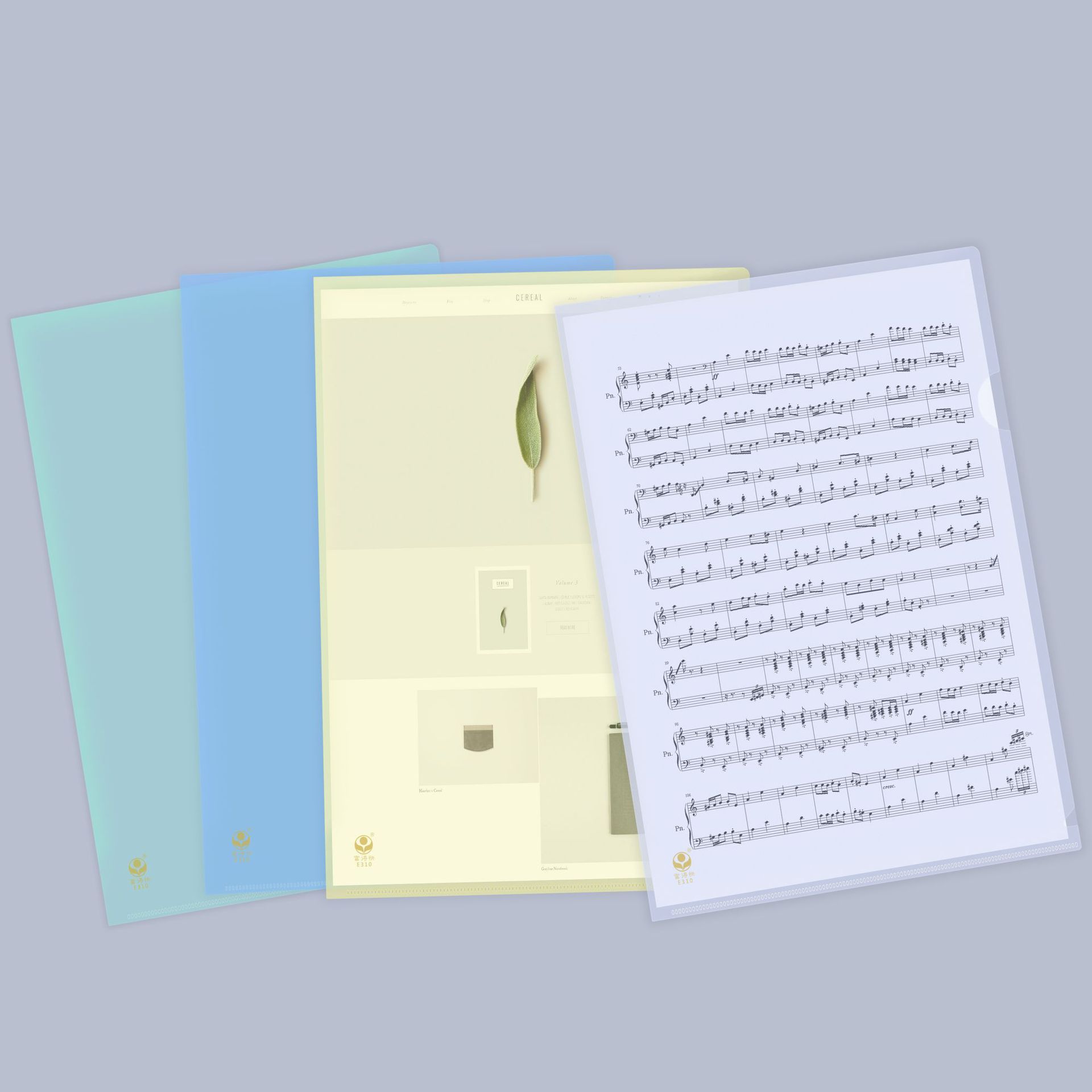 Набор файлов Rich fast E310, двухстраничная папка A4, вставка, прозрачный файл, ПВХ папка