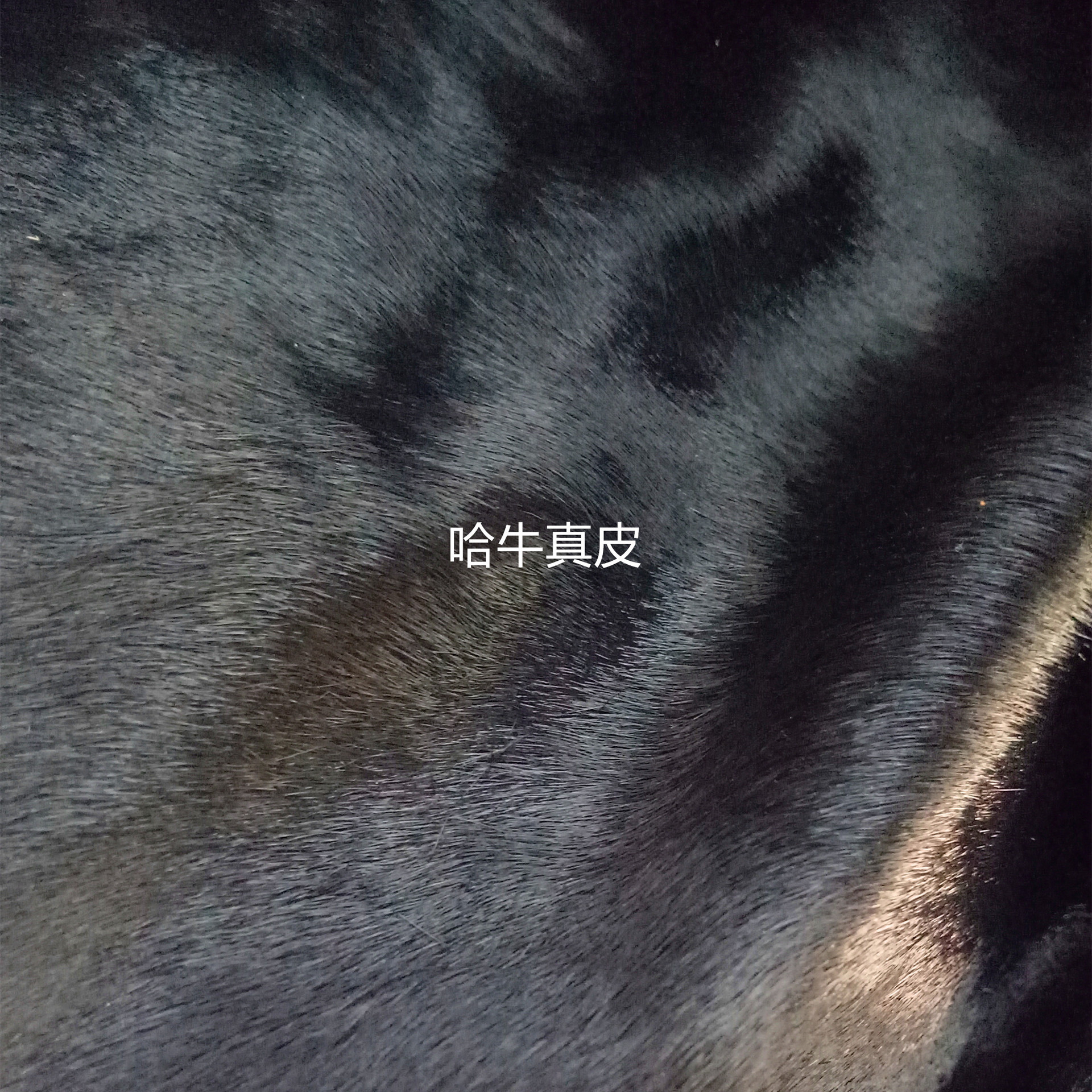 Leather horse hair black horse hair cattle to provide manufacturers direct color horse hair customized sample