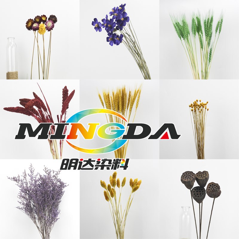 Alkaline Reed dye Dogtail grass dried flower dye dyed rabbit tail grass wheat ear handmade dye