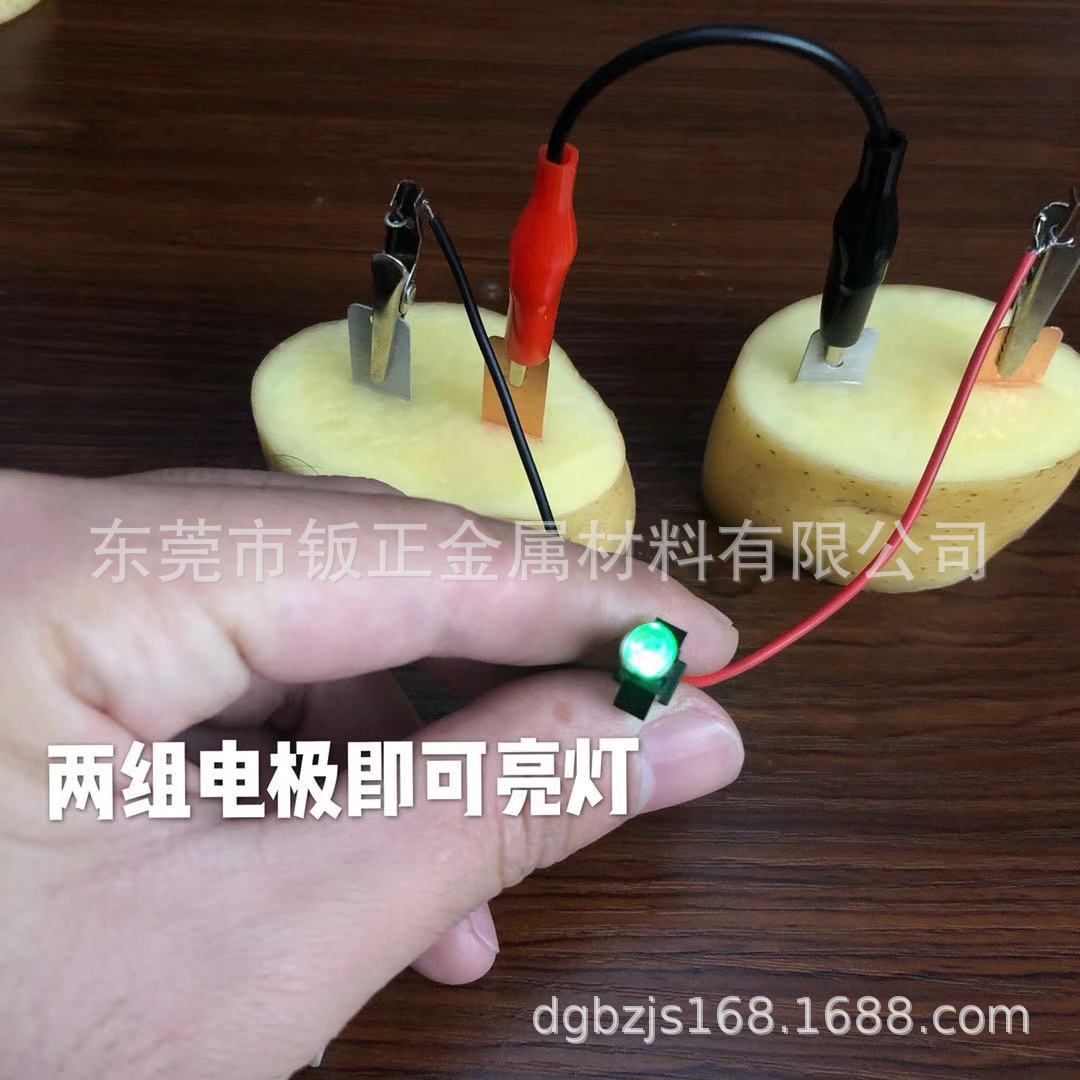 Fruit Battery, Two Sets of Lights, Human Body Conductivity, Copper Sheet, Magnesium Sheet, Zinc Sheet, DIY Science and Education Fruit Power Generation