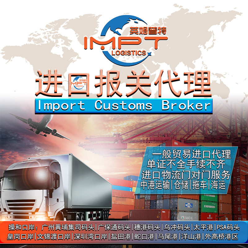 Belgium Shipping/China Designated Freight Forwarder/Import Shipping Booking Agent