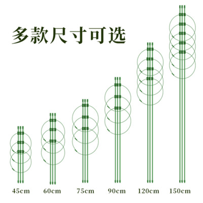 Cross-Border Flower Stand Plant Support Pole Column Clematis Rose Flower Climbing Frame Pothos Climbing Pergola Gardening Supplies
