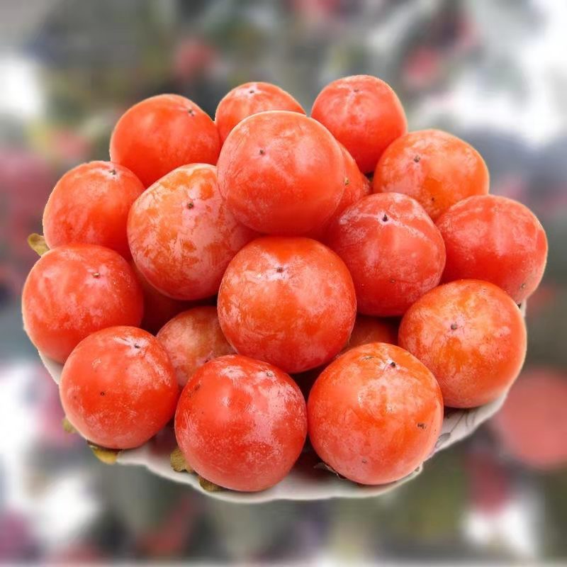 Shaanxi Cupping Persimmon Fire Crystal Persimmon Seasonal Fresh Fruit Seasonal Large Fruit Linyi Crisp Crystal Soft Sweet Small Persimmon