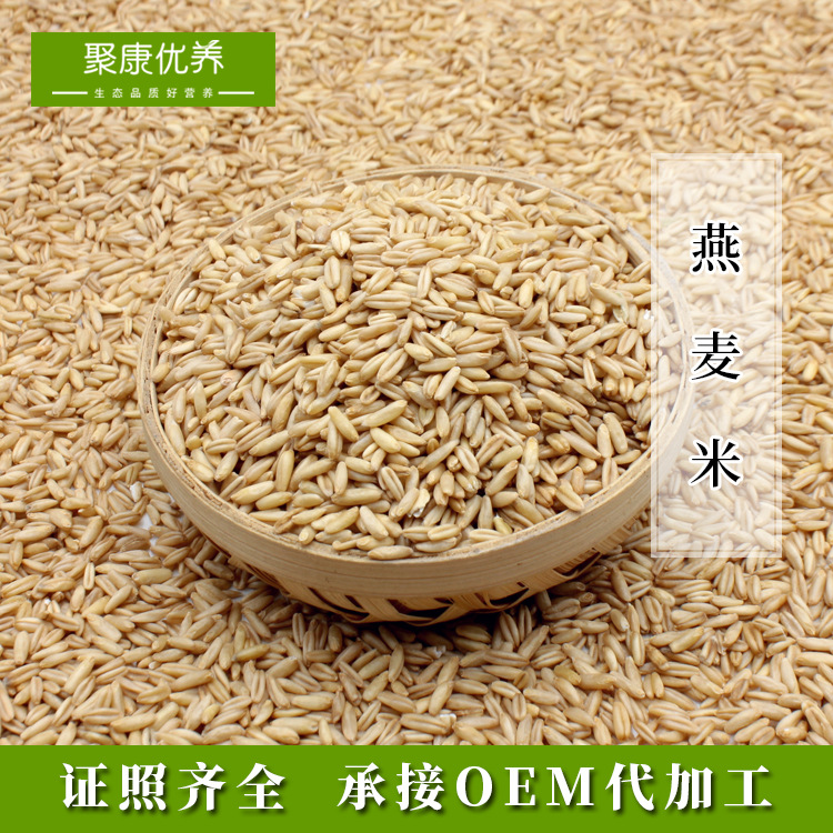 Low Temperature Baked Oatmeal Rice Whole Grains