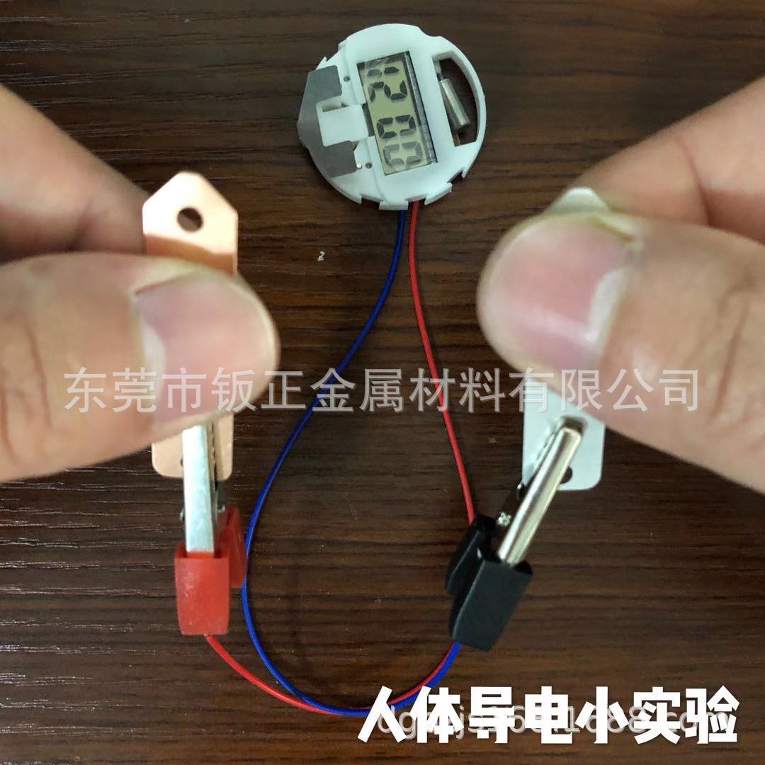 Фруктовая батарея, два набора ламп, проводимость человеческого тела, медный лист, магниевый лист, цинковый лист, DIY наука и образование, генерация энергии из фруктов