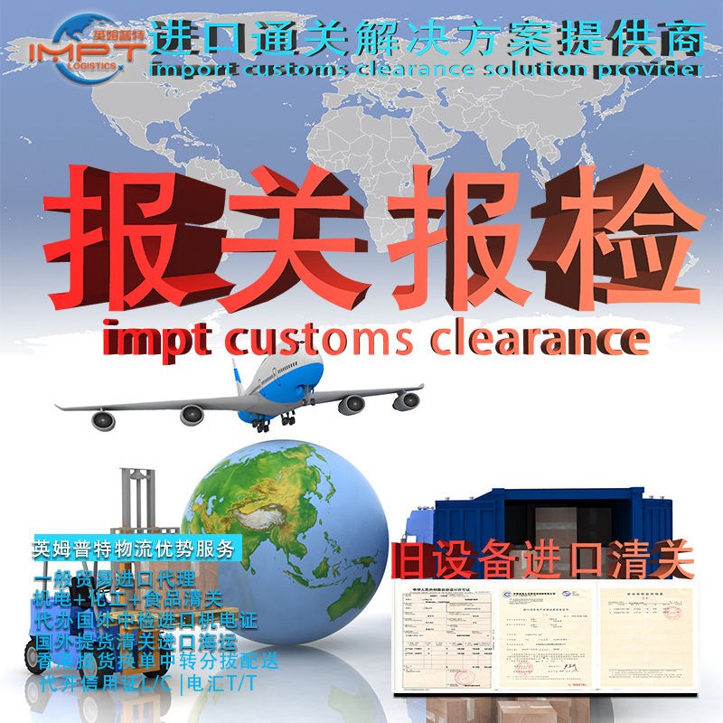 Belgium Shipping/China Designated Freight Forwarder/Import Shipping Booking Agent