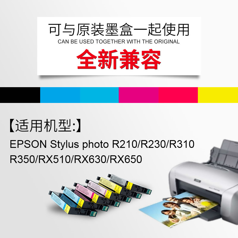Tianwei applies to Epson T0491BK ink cartridge R230 R310 R350 RX 510 630 R21