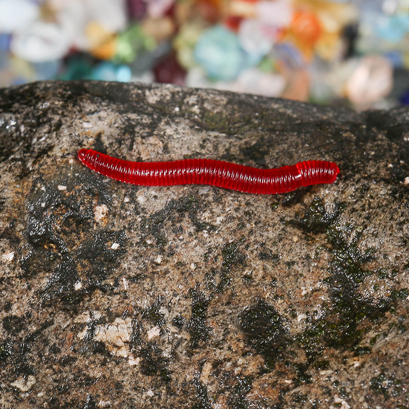 Artificial earthworm factory direct 4cm bait red worm sea fishing fake bait maggots Soft Bait fishing gear Luya wholesale