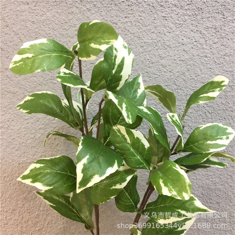 Boxwood leaf green radish leaf taro leaf simulation taro leaf white edge leaf realistic fake leaf home decoration accessories living room