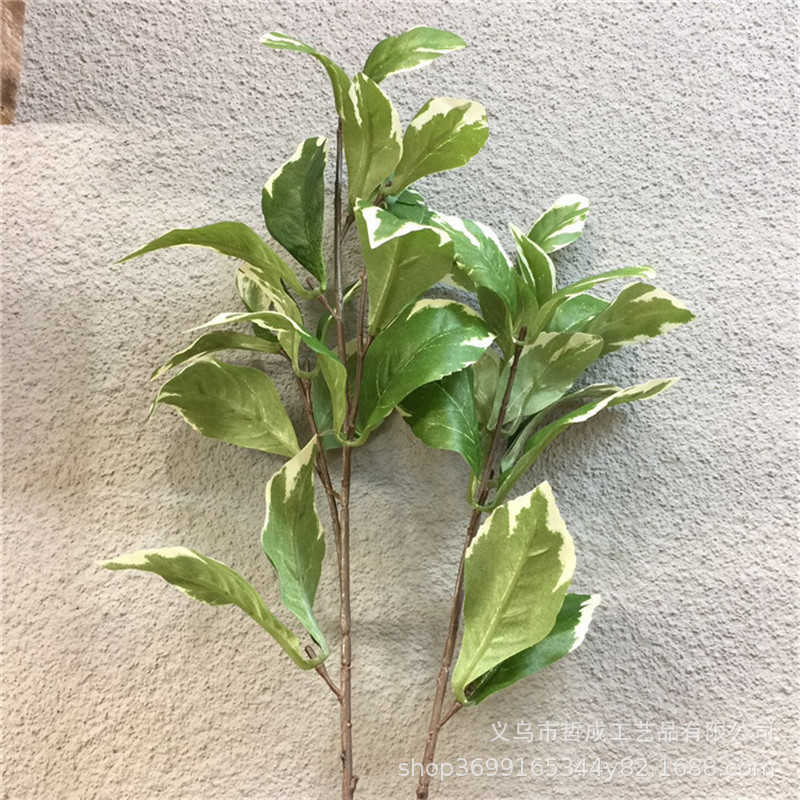 Boxwood leaf green radish leaf taro leaf simulation taro leaf white edge leaf realistic fake leaf home decoration accessories living room