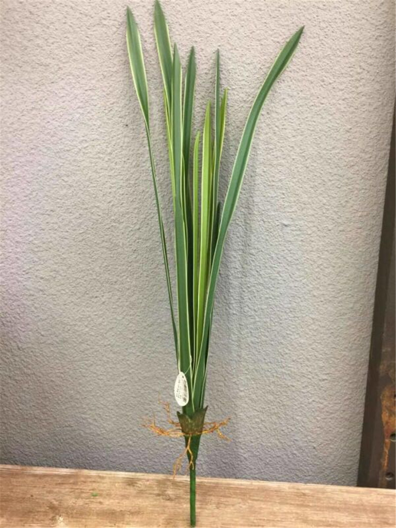 Супер ощущение орхидеи листья симуляция цимбидиума листья симуляция зеленого растения травяные растения для внутреннего оформления