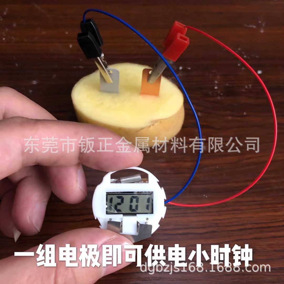 Fruit Battery, Two Sets of Lights, Human Body Conductivity, Copper Sheet, Magnesium Sheet, Zinc Sheet, DIY Science and Education Fruit Power Generation