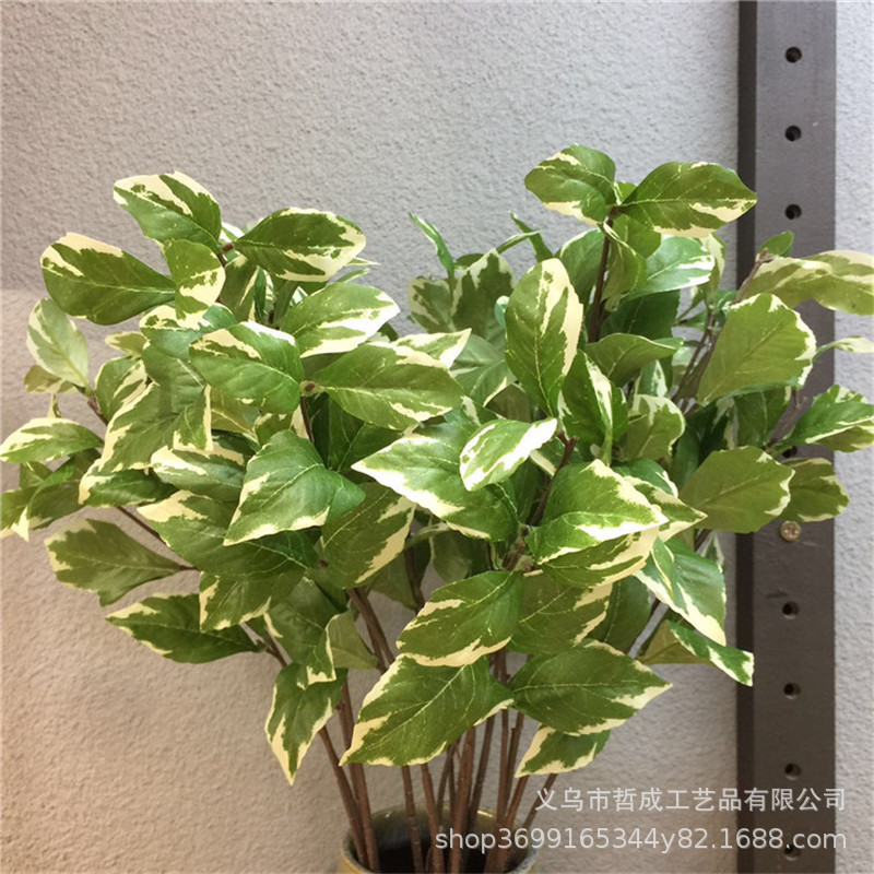 Boxwood leaf green radish leaf taro leaf simulation taro leaf white edge leaf realistic fake leaf home decoration accessories living room