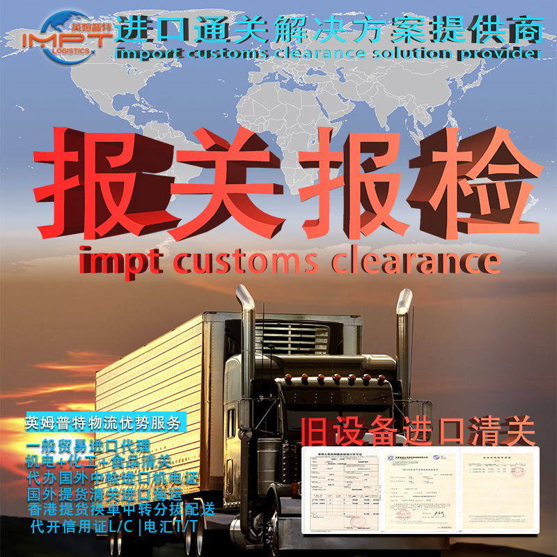 Belgium Shipping/China Designated Freight Forwarder/Import Shipping Booking Agent