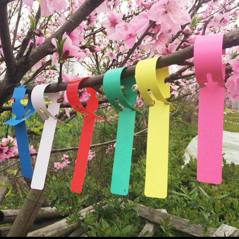 Plant Label Gardening Label Flower Plastic Ring Cover Label Waterproof Marker Plastic Marker