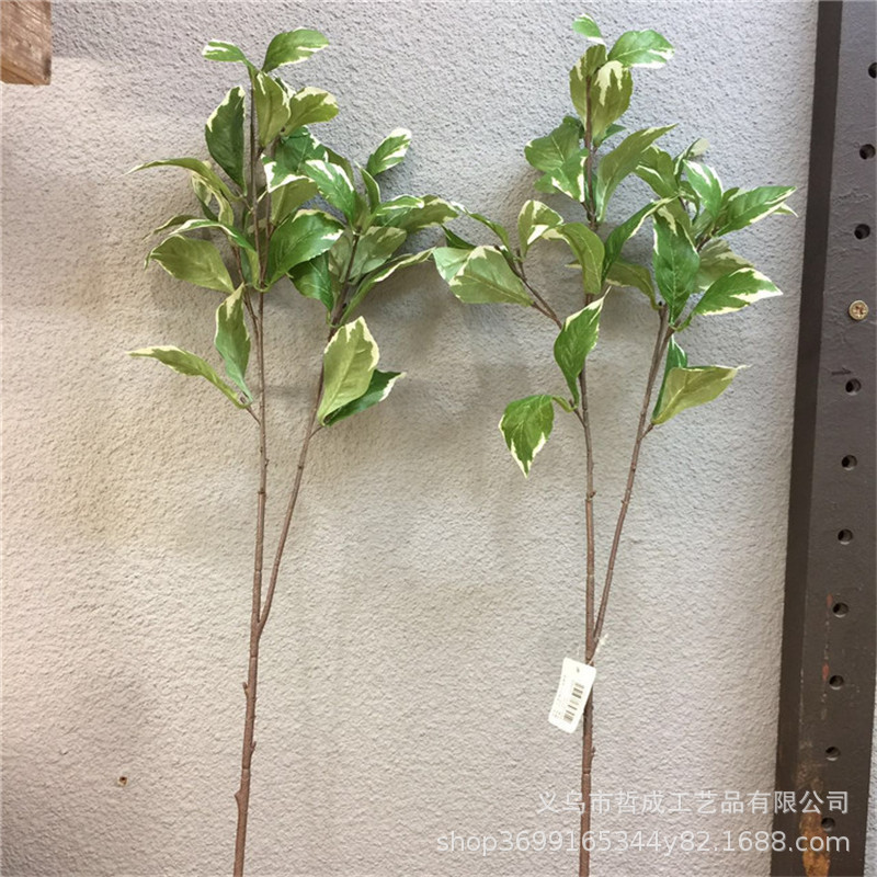 Листья самшита, зеленый редис, листья таро, имитация таро, листья с белыми краями, реалистичные поддельные листья, аксессуары для домашнего декора, гостиная