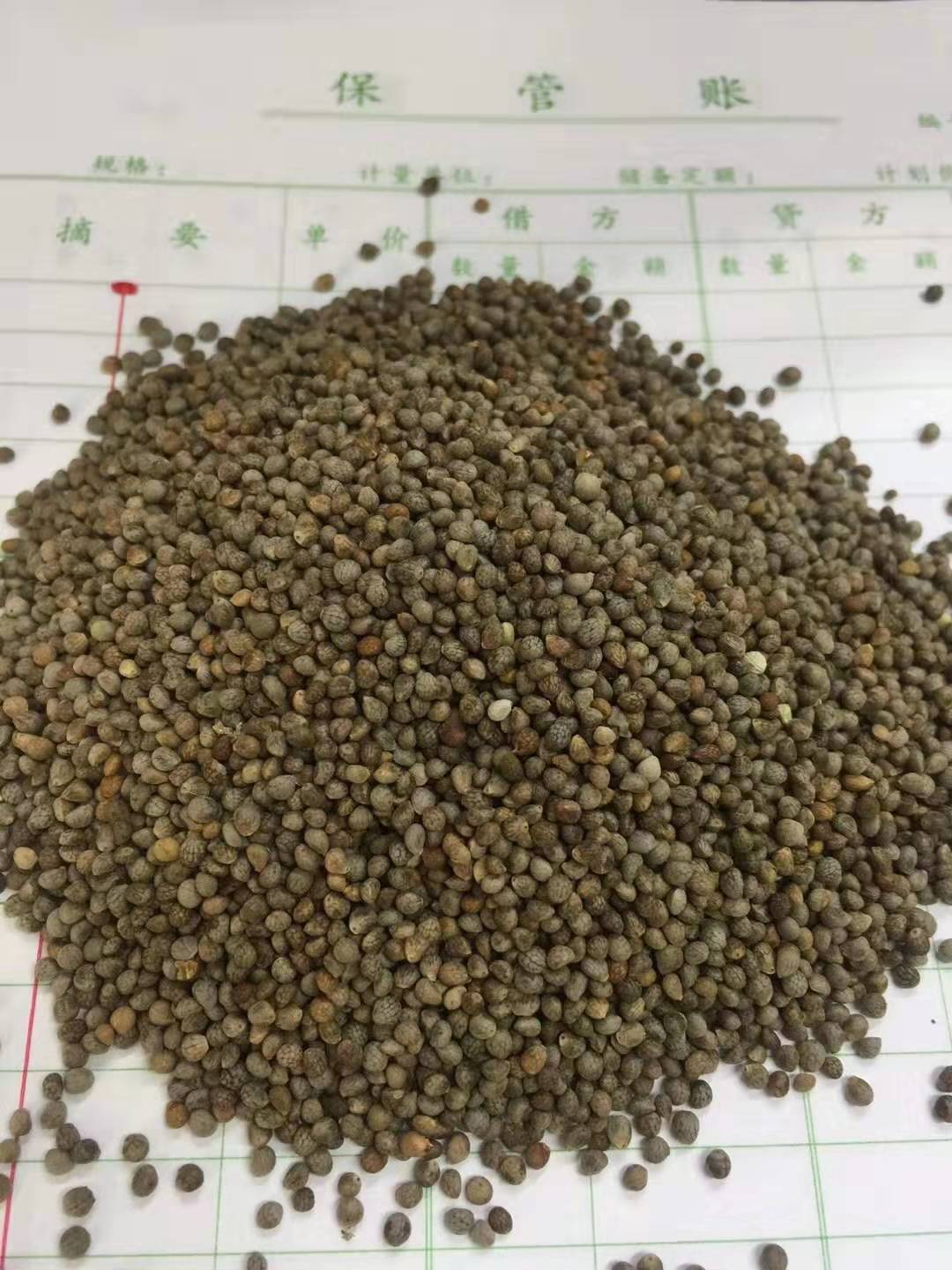 Grey Perilla Semen moon cake stuffing bulk wholesale perilla seed a generation of hair