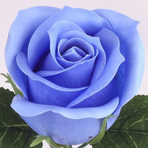 Valentine's Day 4 layers of cold beauty big rose soap flower head flower shop bouquet gift box diy packaging material soap flower