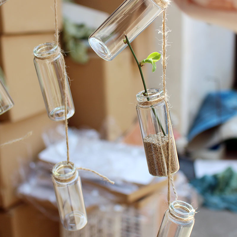 ins Style Small Bottle Transparent Glass Bottle Small Size Fleshy Vase Mini Hanging Water Plant Flower Apparatus