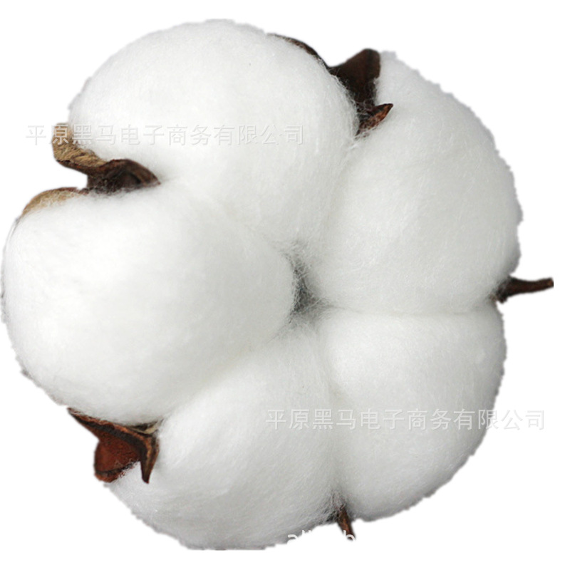 Natural cotton dried flower bouquet simulation bouquet cotton head hand embossing material bag eternal flower wedding wholesale