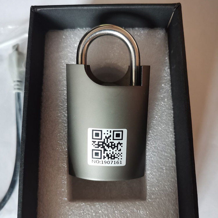 Manufacturer's Electric Grid Power Meter Box Intelligent Special Padlock Engineering Lock Hardware Industrial Safety Padlock