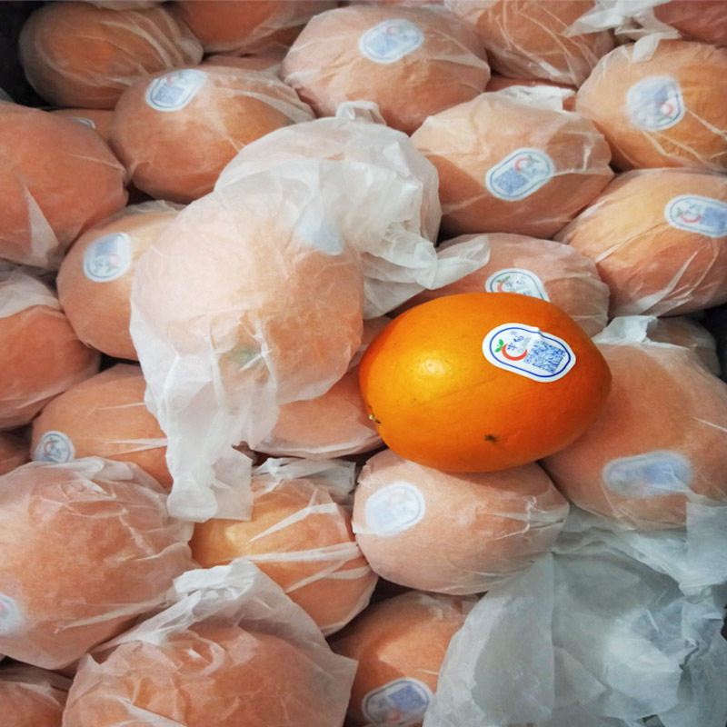 Supply of Spot 17g Wrapping Paper Christmas Apple Size Can Cut Translucent Paper