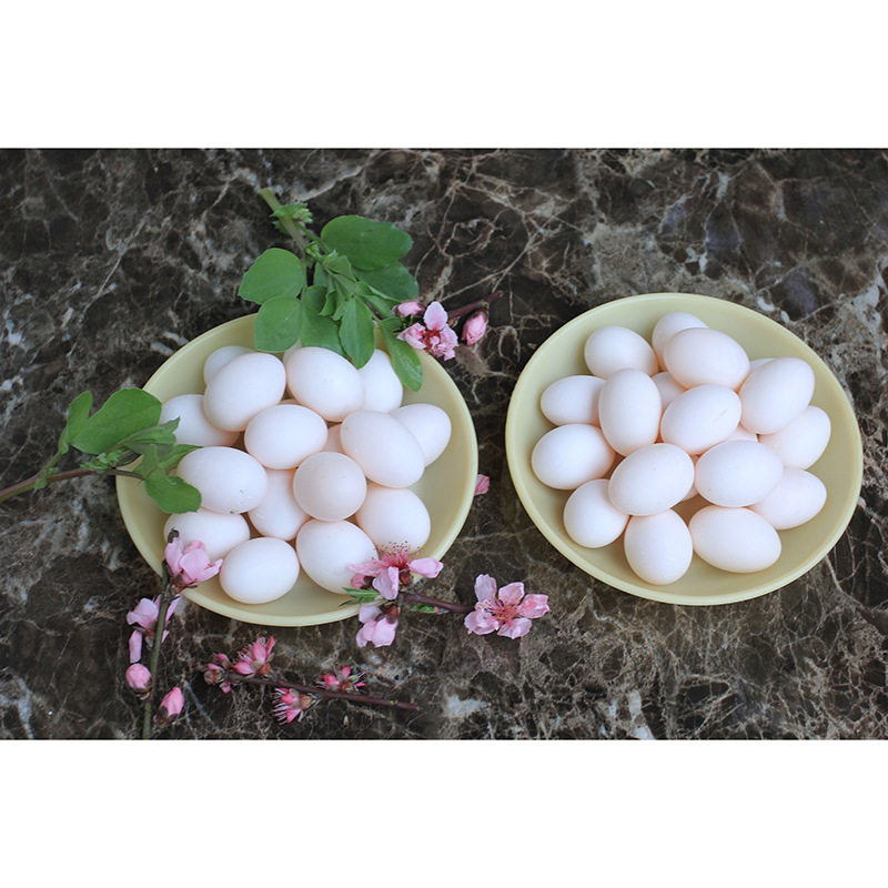 Free Shipping Wholesale Selection of 30 Sf White Pigeon Eggs Free Shipping Fresh Local Specialty Farm Grains Free Range Baby