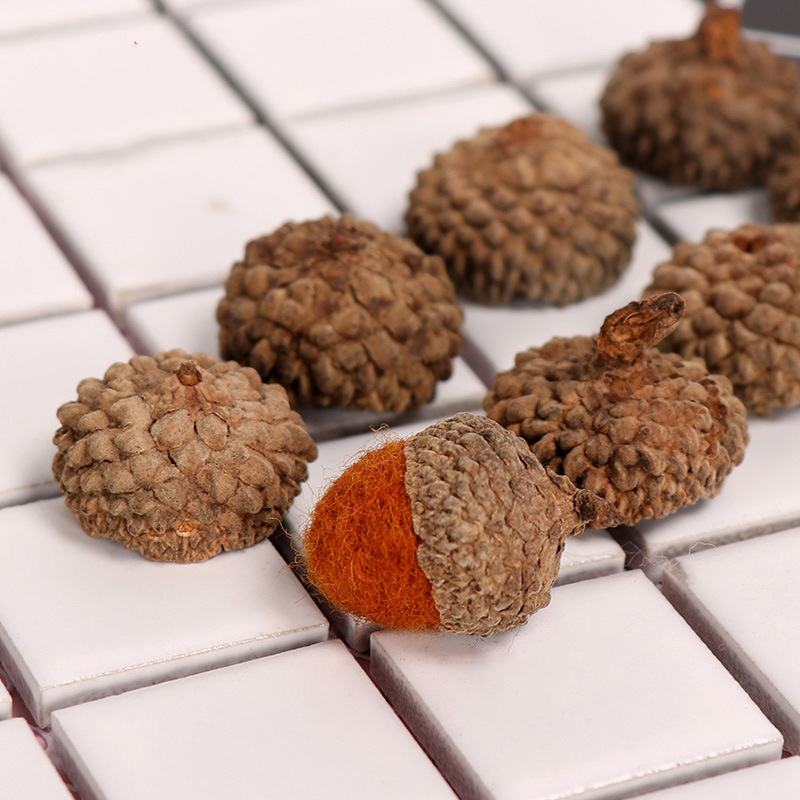 1-2.5cm acorn cap acorn shell wholesale kindergarten DIY dried flower material handmade props real rubber cap ACORN cover
